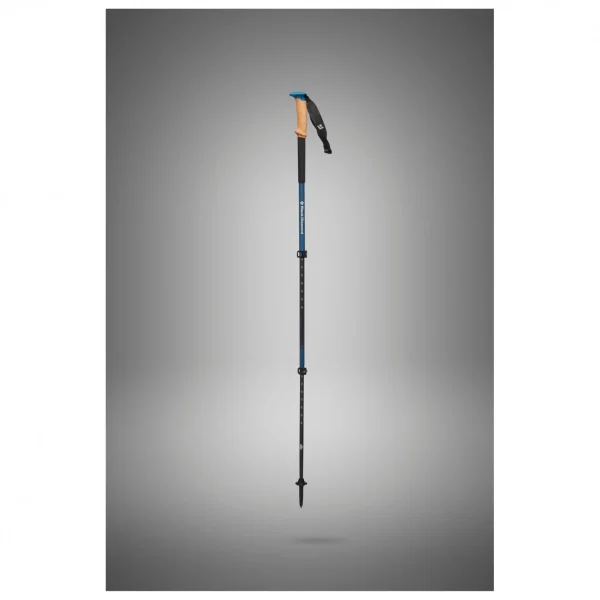 Black Diamond – Alpine C Cork WR Trek Poles – Bâtons De Randonnée 4