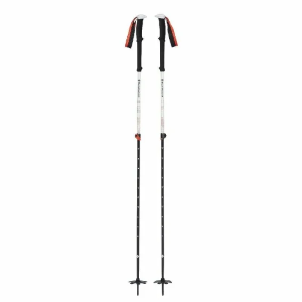 Le moins cher ✔️ Black Diamond Expedition 2 Ski Poles – Bâtons ski 🔥 3